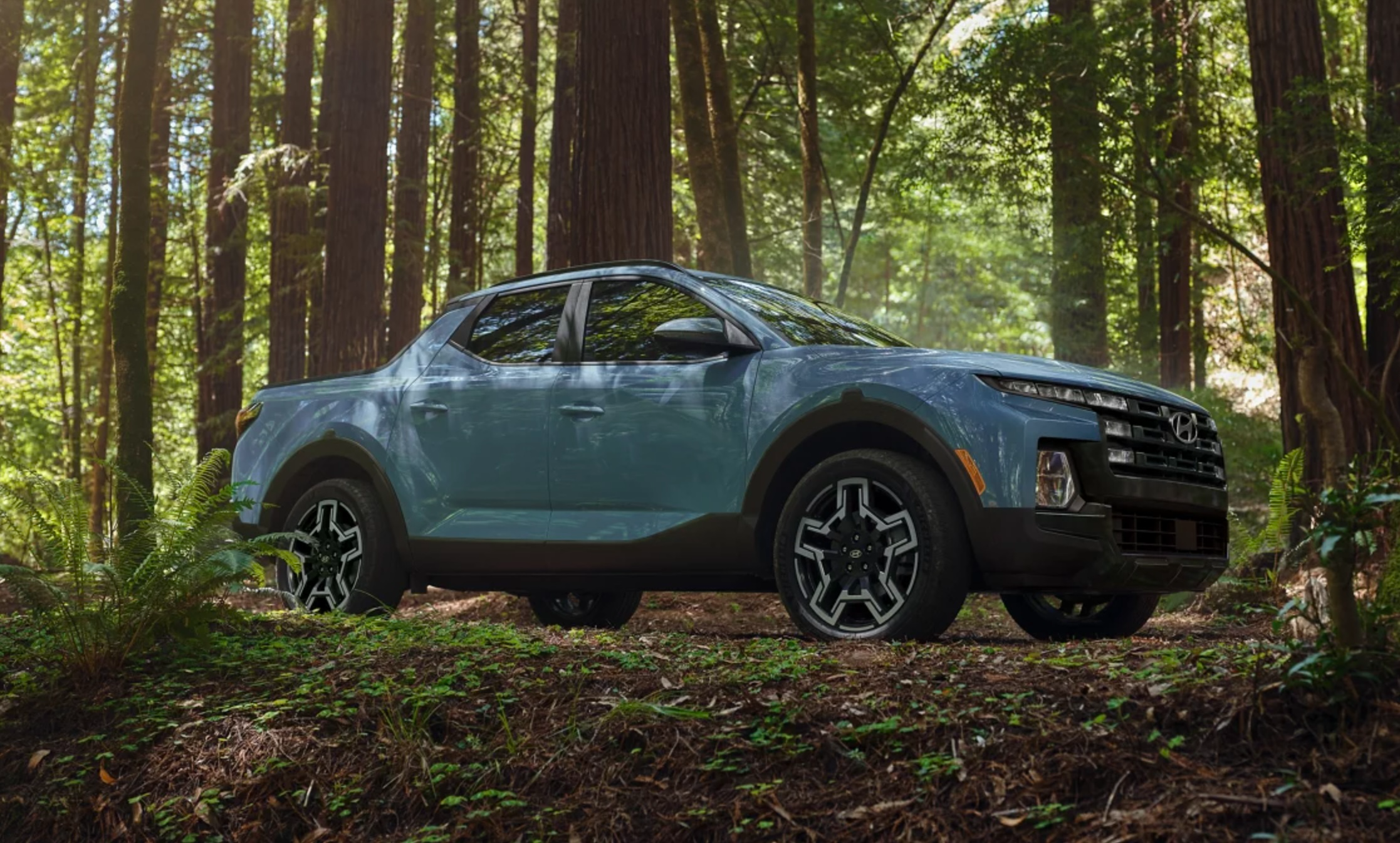 2025 Hyundai Santa Cruz parked in the forest