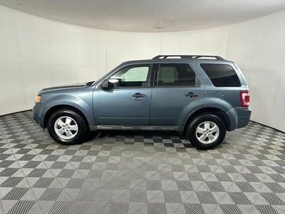 2010 Ford Escape XLT