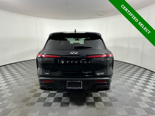 2023 INFINITI QX60 PURE
