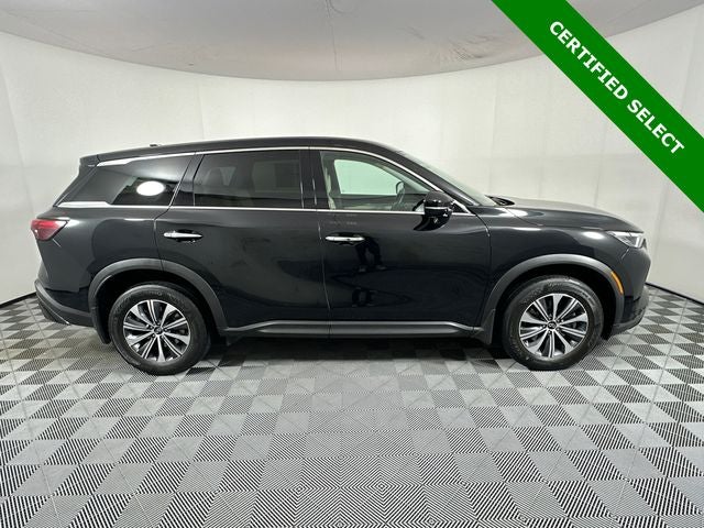 2023 INFINITI QX60 PURE