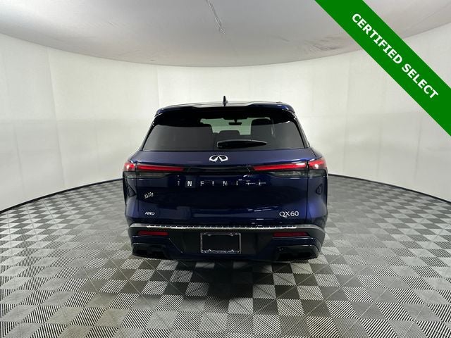 2023 INFINITI QX60 PURE