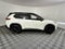 2023 Nissan Rogue SV Midnight Edition & Premium Package